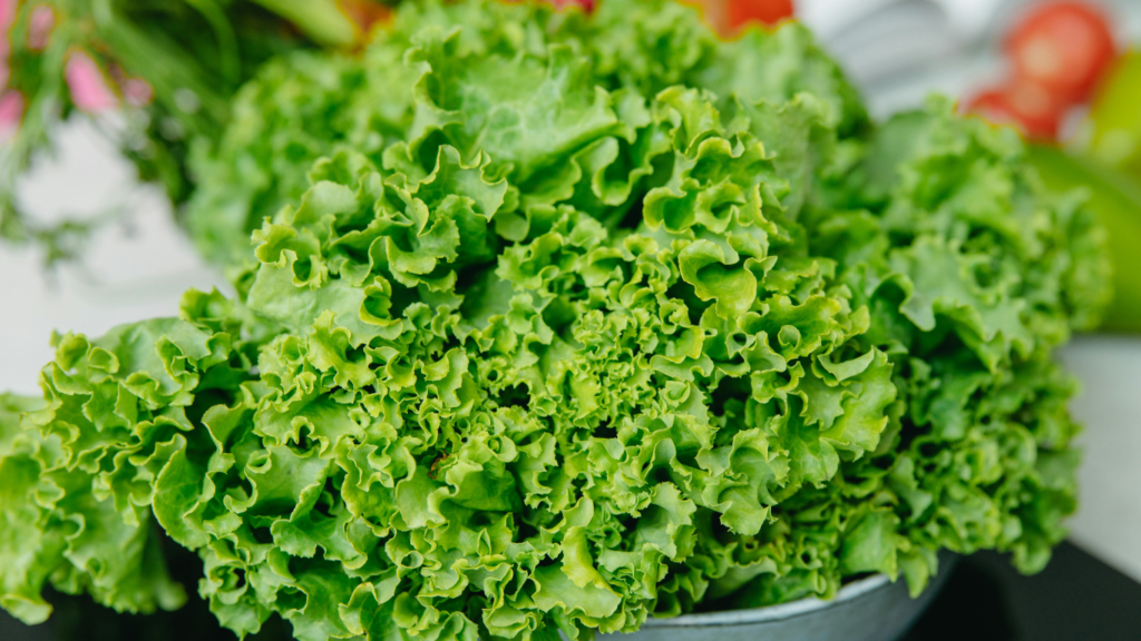 Alimentação saudavel
